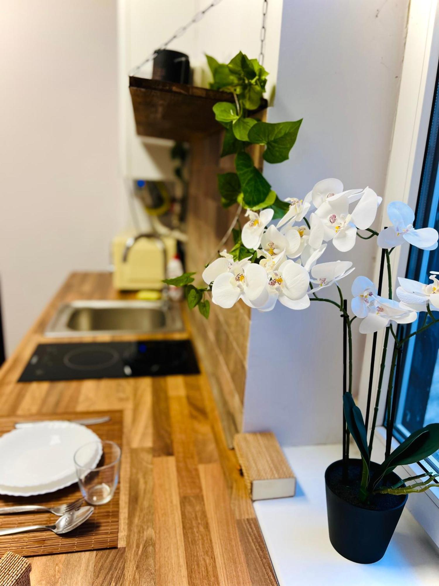 Stay Inn Central Cluj 외부 사진